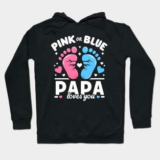 Gender reveal baby announcement Pink or blue Hoodie